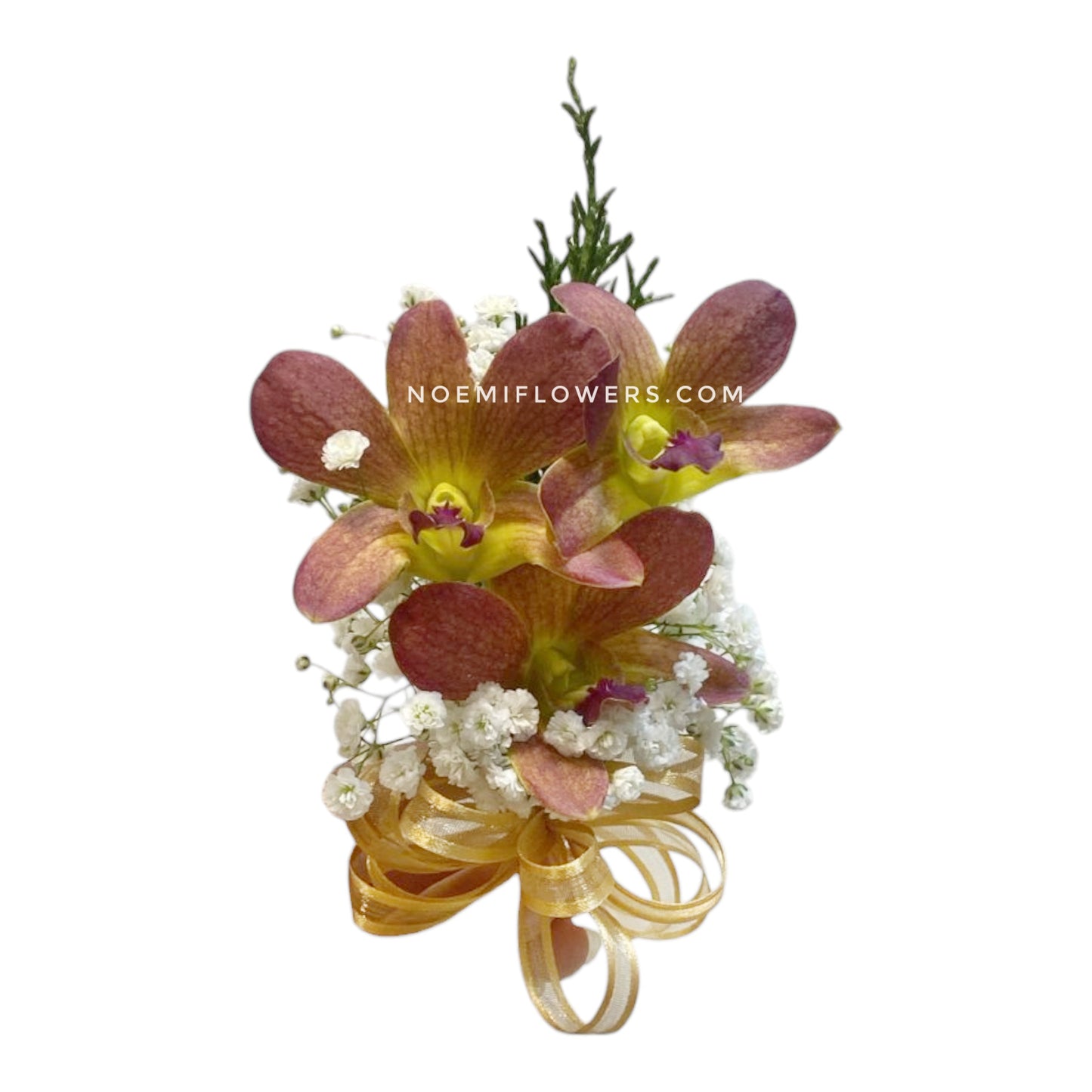Corsage de Orquídea con gypsofilia y cinta - Floristería Noemi Flowers