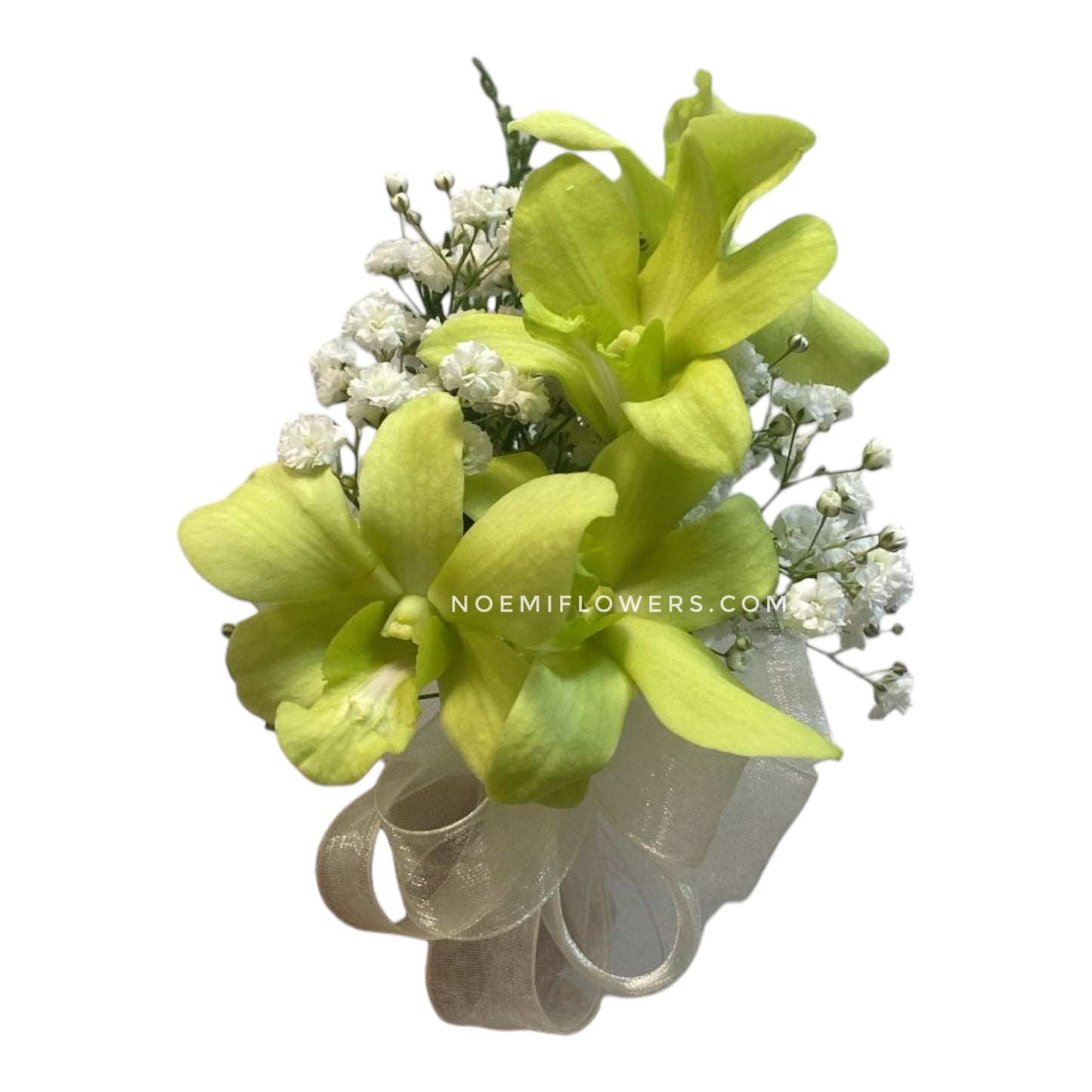 Corsage de Orquídea NF - 09 - Floristería Noemi Flowers