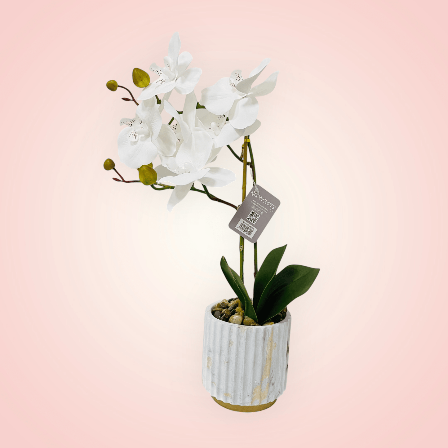 Planta Orquidea Phalaenopsis Artificial - Floristería Noemi Flowers