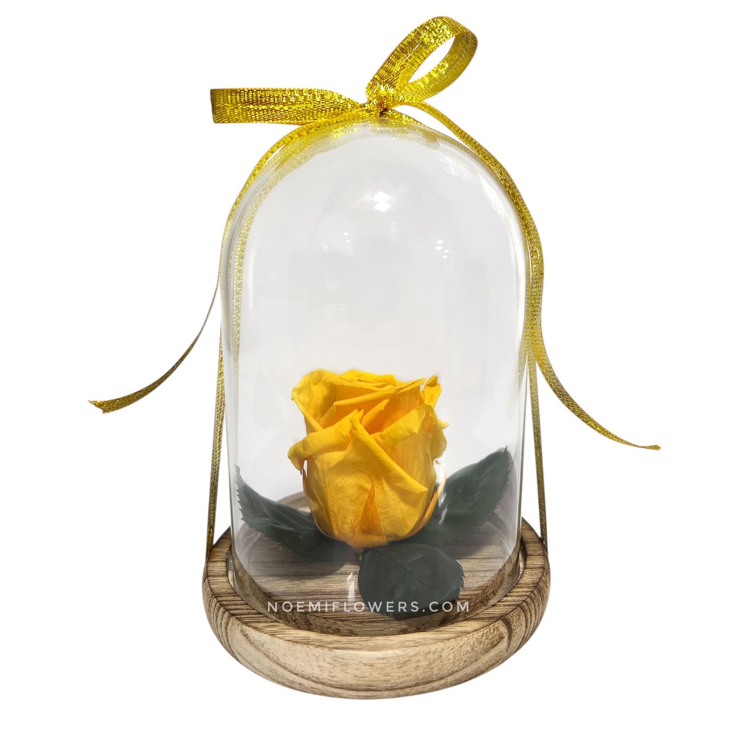 Rosa Eterna - Floristería Noemi Flowers