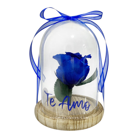 Rosa Eterna Tallo Medio - Floristería Noemi Flowers