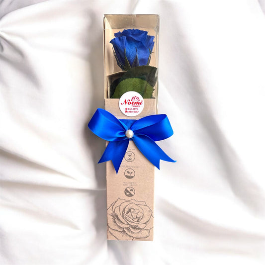 Rosa Eterna Mini - Floristería Noemi Flowers