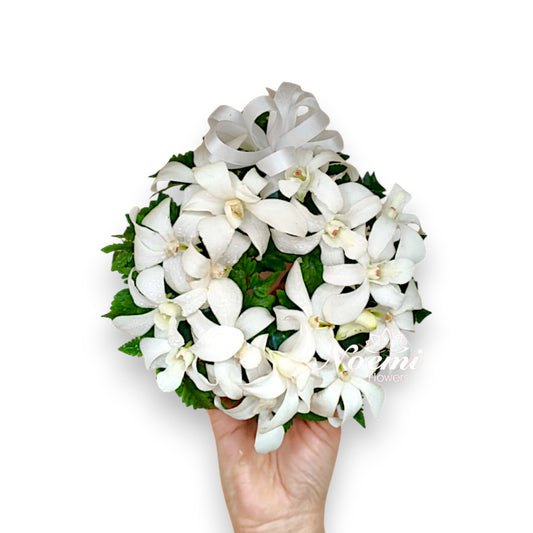 Mini Cripta 3
