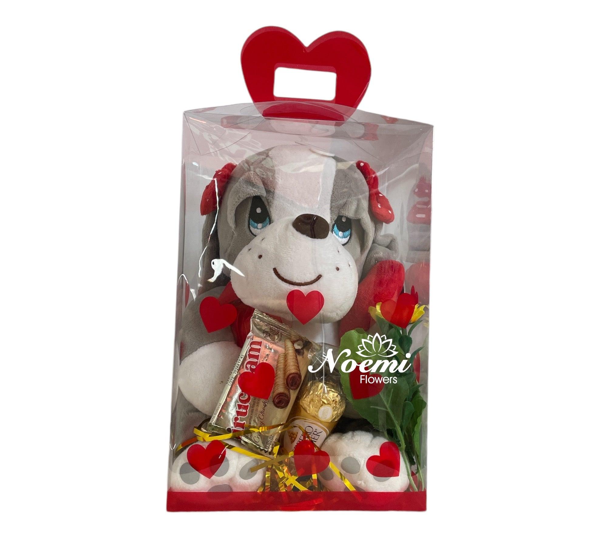 Regalo con Peluche 02 - Floristería Noemi Flowers