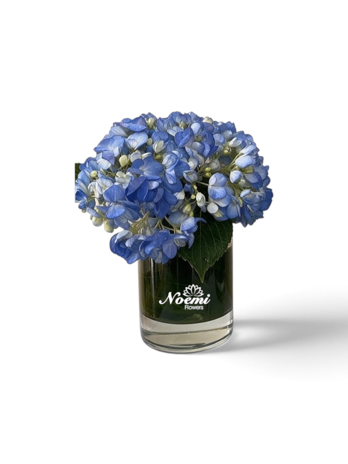 Coctelera de Hortensia