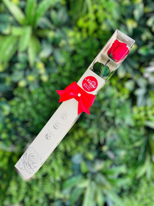 Gift Box Red Rose Preserved