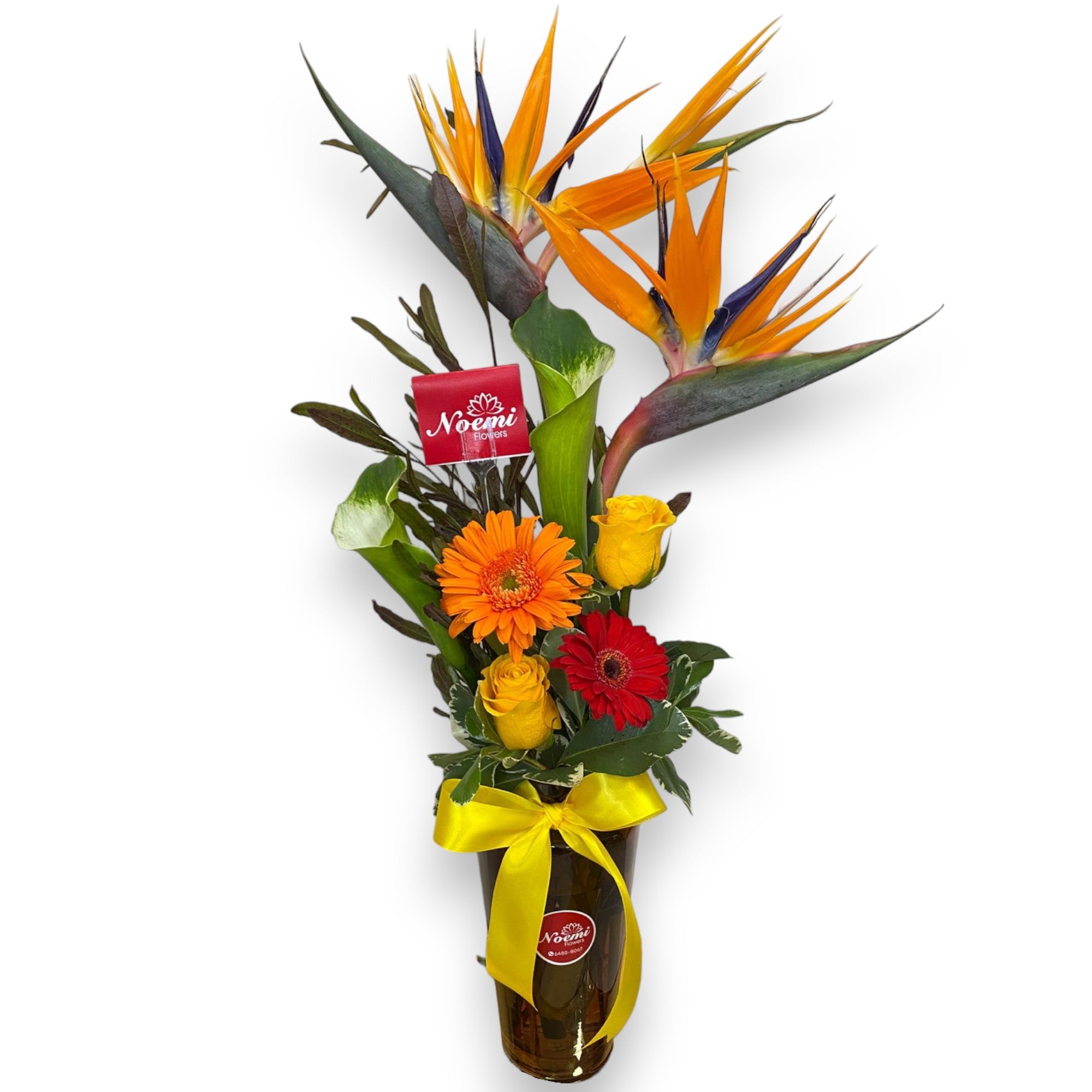 Arreglo Tropical Jardín del Edén - Floristería Noemi Flowers