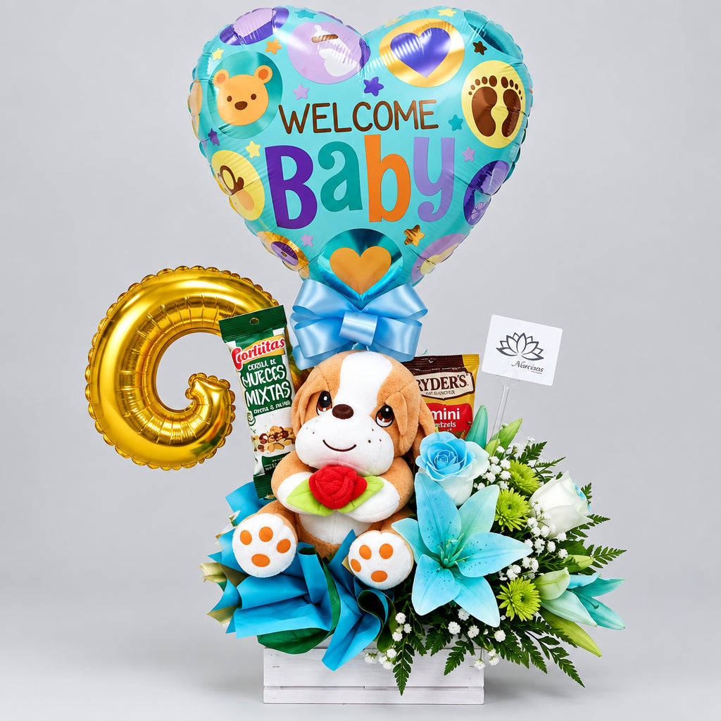 Arreglo regalo para nacimiento de bebe - Floristeria Noemi Flowers