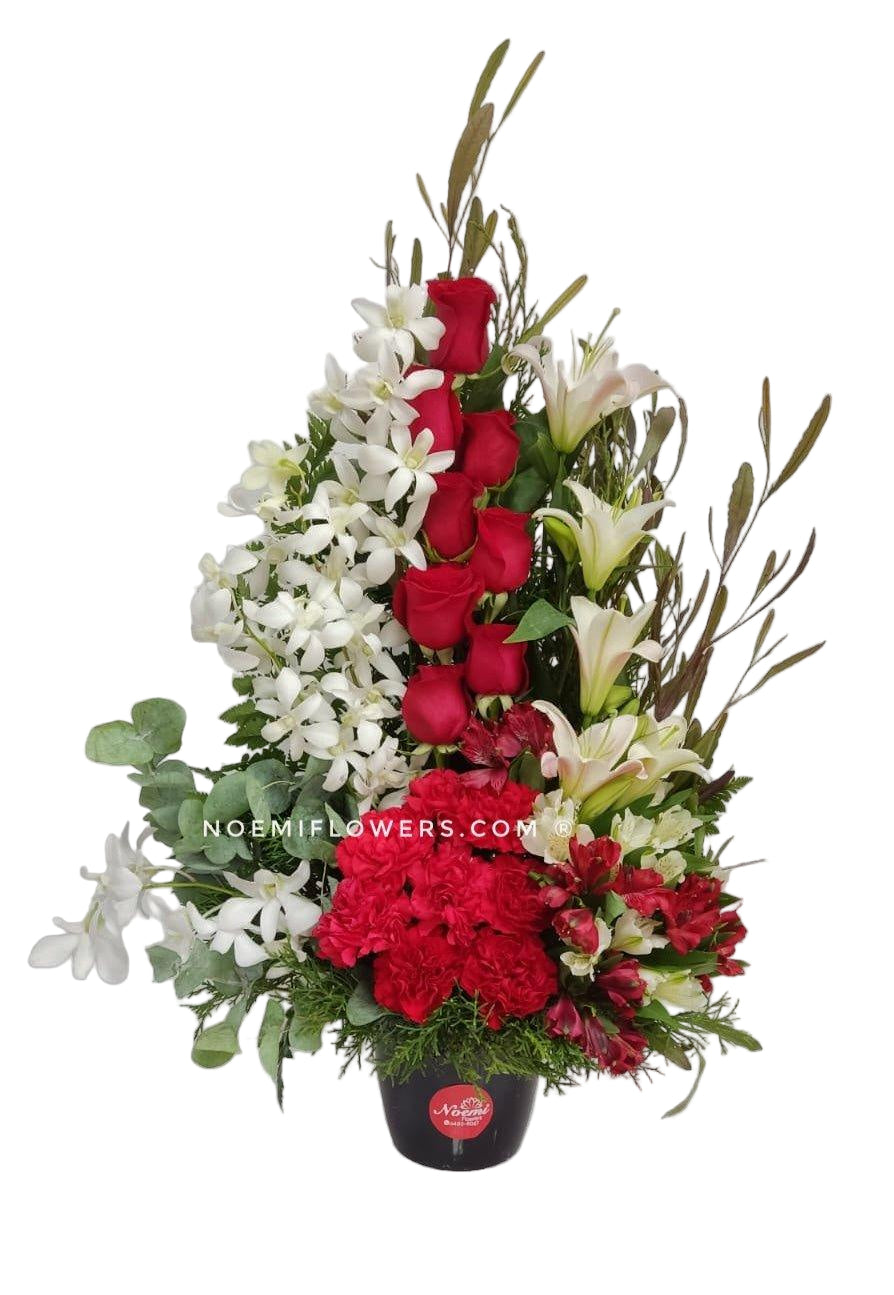 Musa - Floristería Noemi Flowers