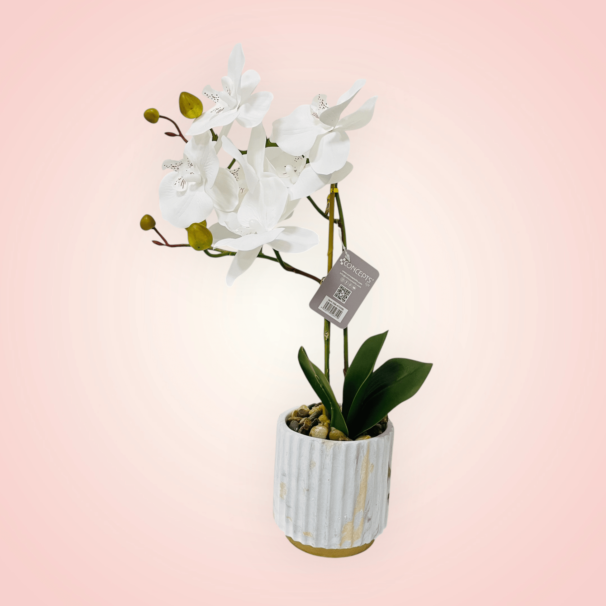 Planta Orquidea Phalaenopsis Artificial - Floristería Noemi Flowers