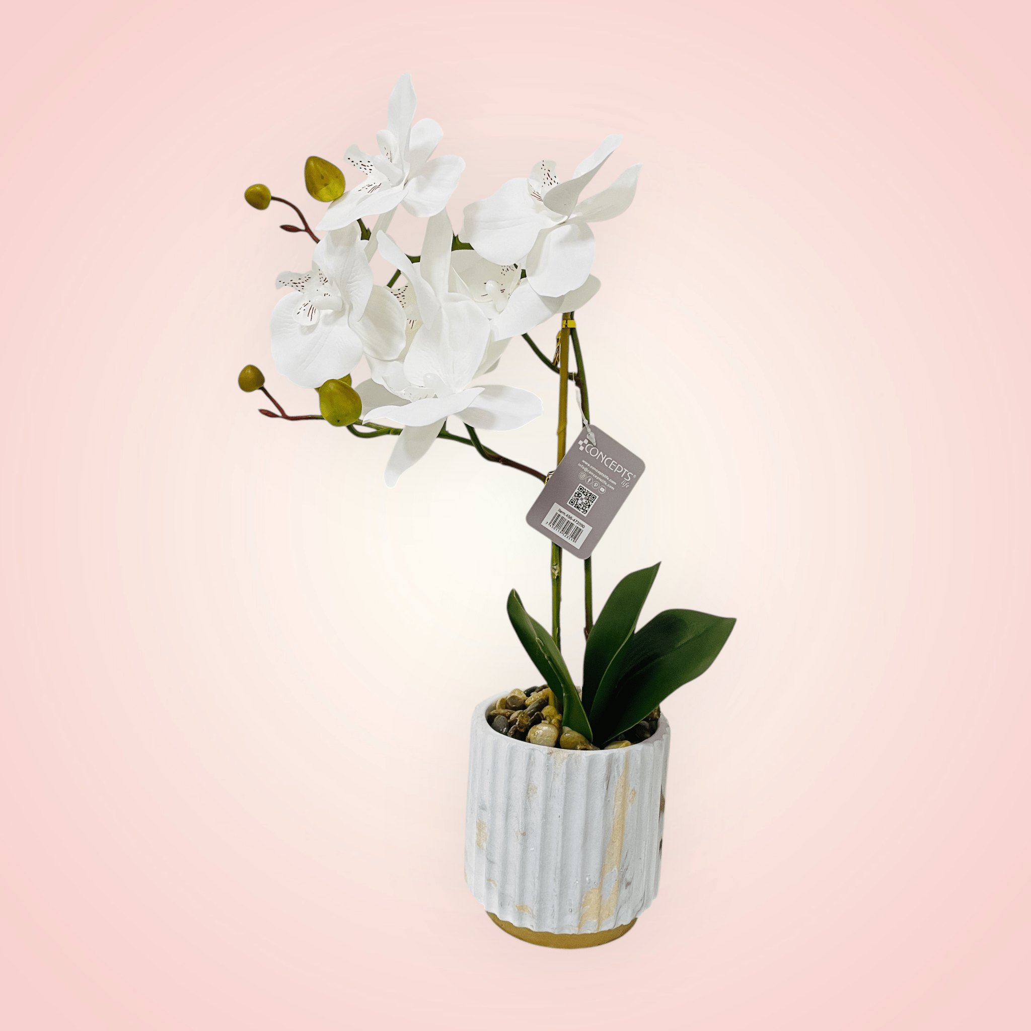 Planta Orquídea Phalaenopsis (Artificial) - Floristería Noemi Flowers