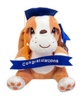 Peluche Samuel & Miel Graduación 9" - Floristería Noemi Flowers