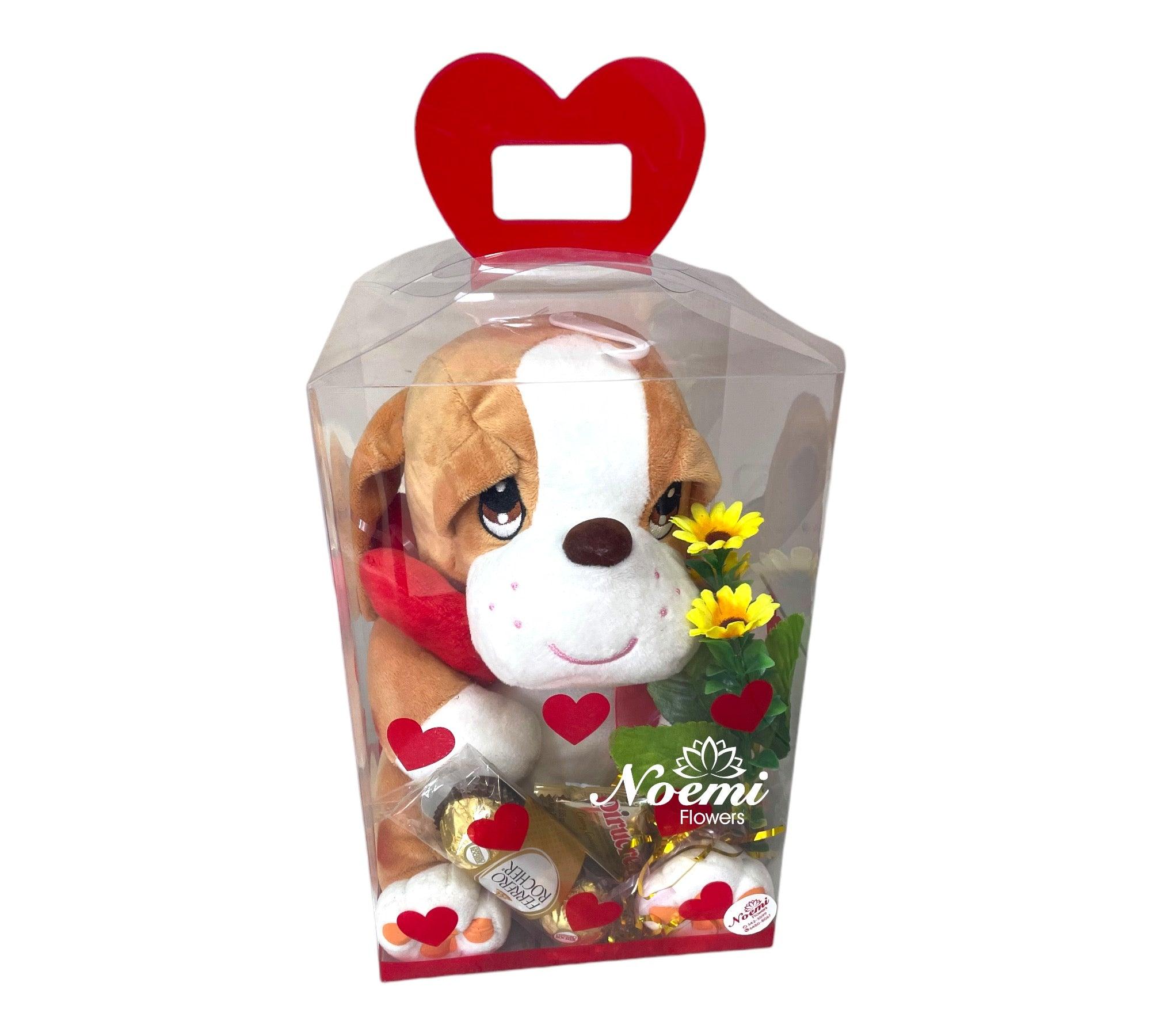 Regalo con Peluche 01 - Floristería Noemi Flowers