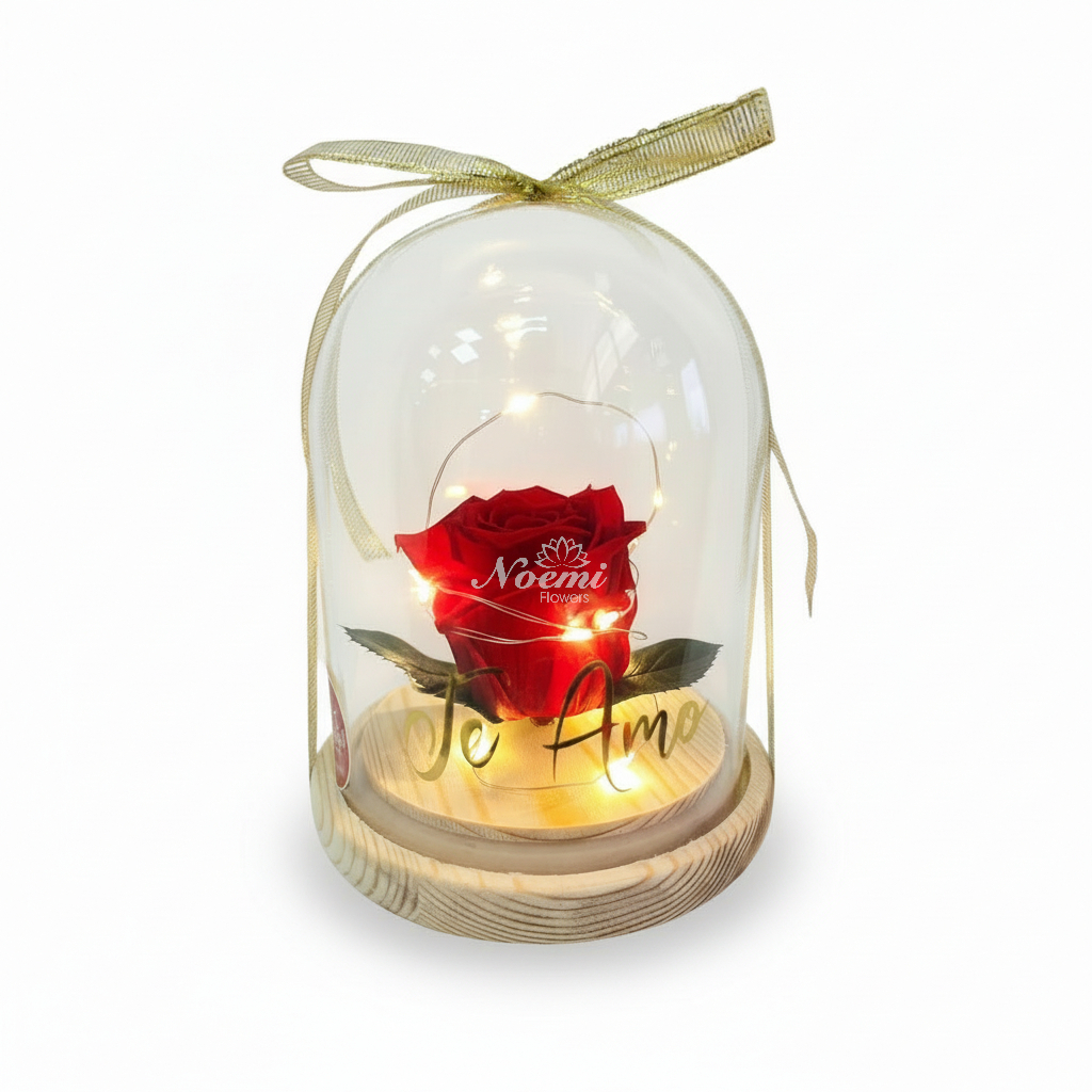 Rosa Eterna -Floristería Noemi Flowers.