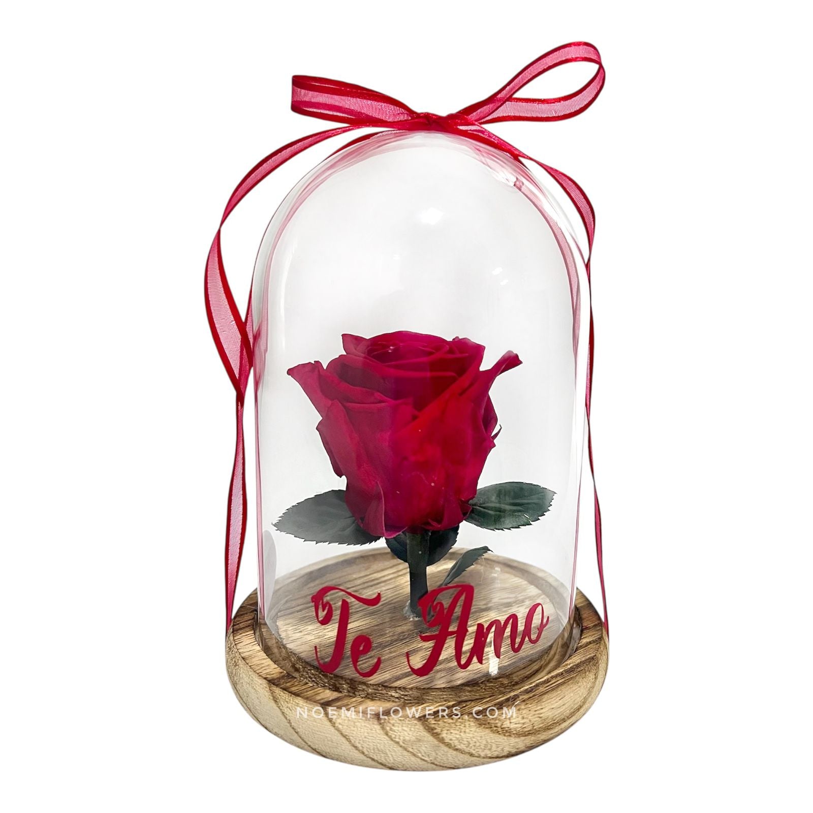 Rosa Eterna Tallo Medio -Floristería Noemi Flowers.