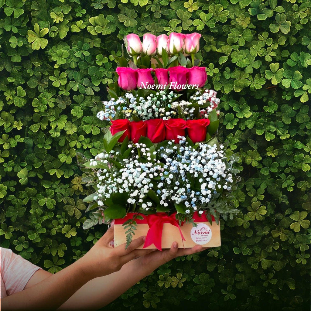 Cascada de Rosas Tricolor - Floristería Noemi Flowers