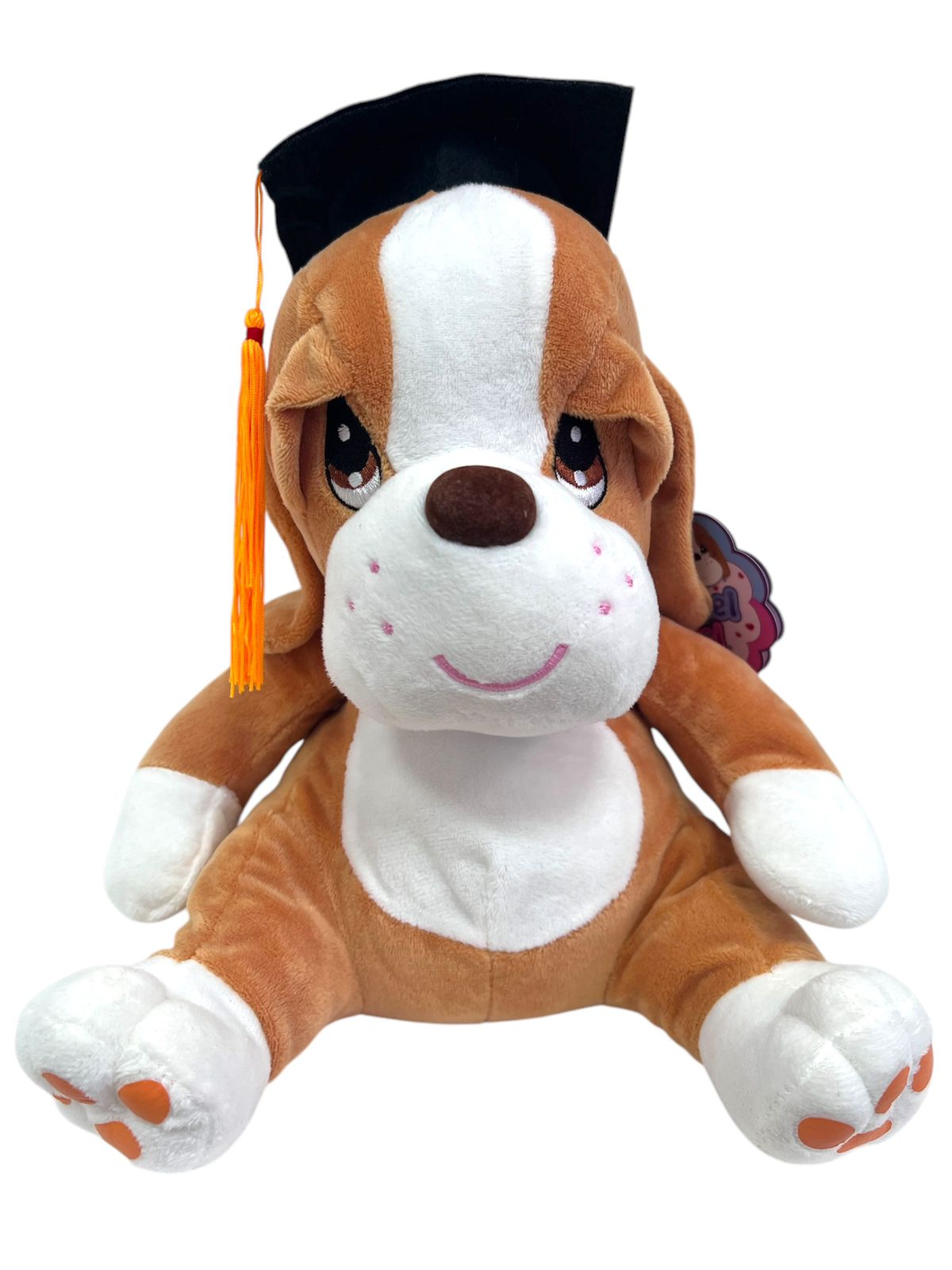 Peluche Samuel & Miel Graduación 10" - Floristería Noemi Flowers