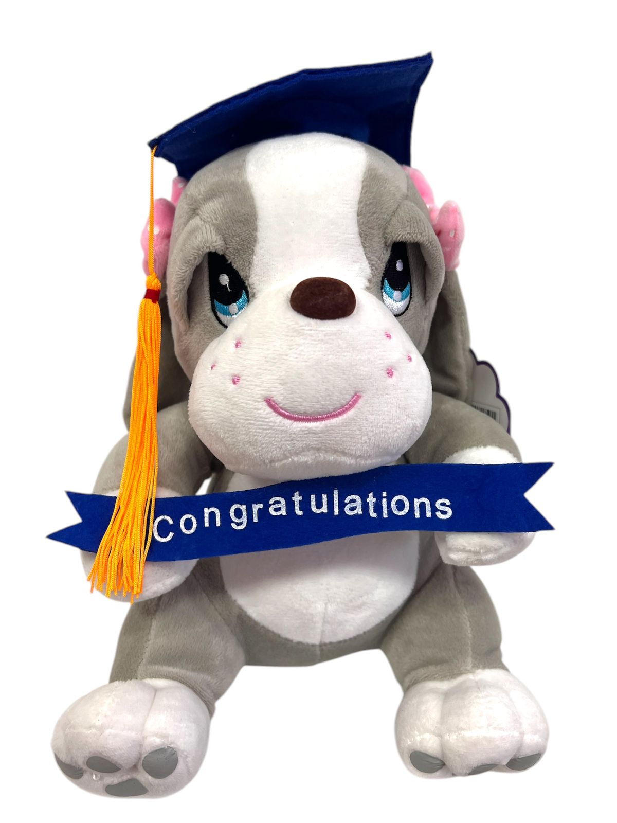Peluche Samuel & Miel Graduación 9" - Floristería Noemi Flowers
