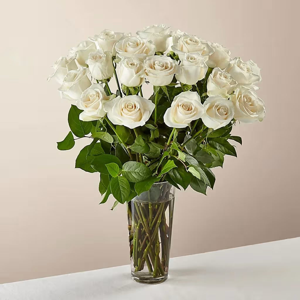 Rosas Blancas Premium en Jarrón