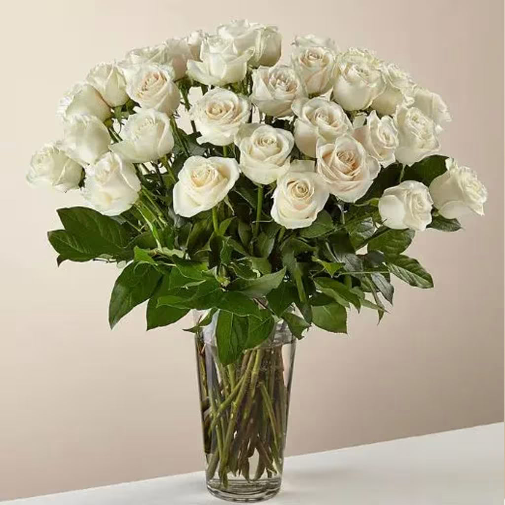 Rosas Blancas Premium en Jarrón