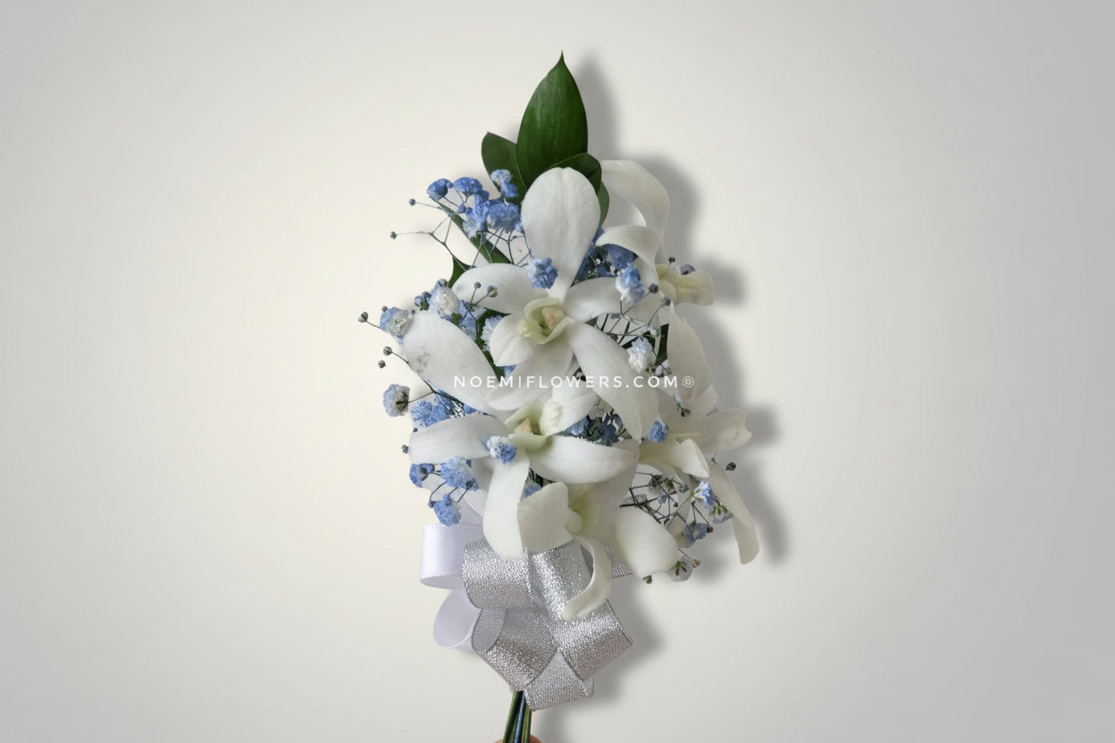 Corsage de Orquídea NF-09 - Floristería Noemi Flowers