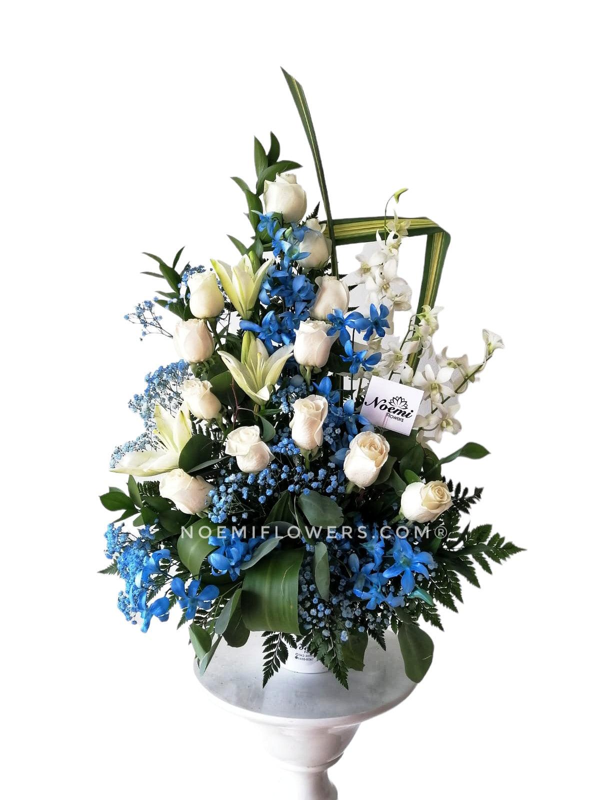 Romance Azulado - Floristería Noemi Flowers